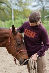 Horsemanship für mehr Vertrauen zwischen Pferd und Mensch