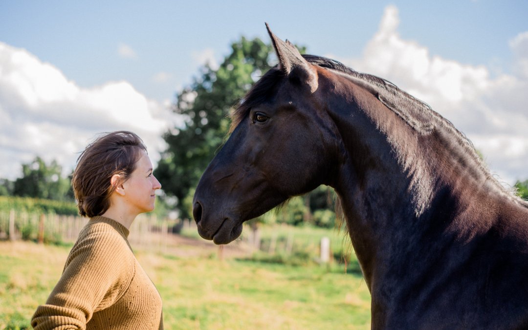 Tierkommunikation!? – Von der Skeptikerin zum Profi in sechs Monaten