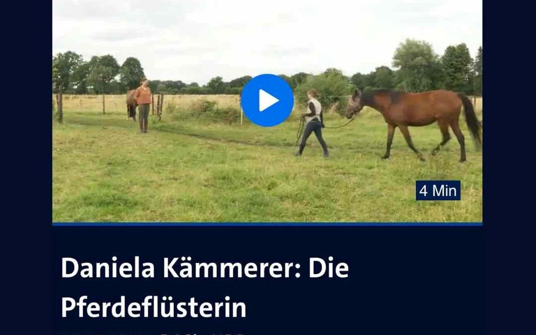“Die Pferdeflüsterin” – TV-Beitrag zu meiner Arbeit mit Pferden